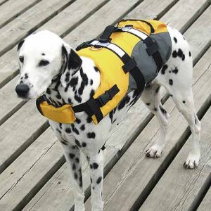 Compass Hunde-Schwimmweste