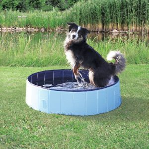Hundepool