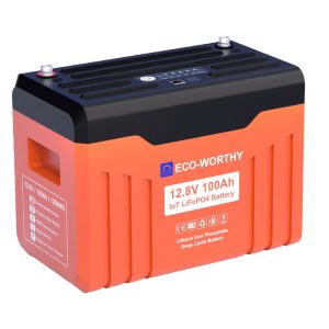 LiFePO4 Lithium Batterie 12V