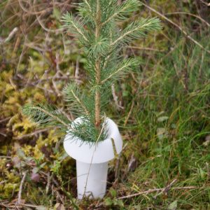PlantaGard Rüsselkäferschutzkragen HyloPro (PP) PlantaGard Rüsselkäferschutzkragen HyloPro (PP)