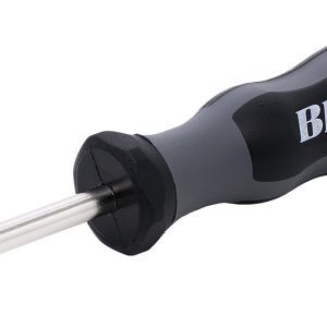Blaser Schraubendreher für Sternschraube