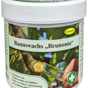 Schacht Baumwachs Brunonia