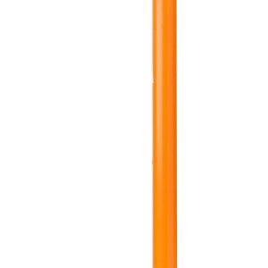 Saatstock Eichelhäher
