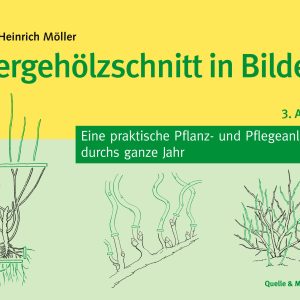 Ziergehölzschnitt in Bildern – Eine praktische Pflanz- und Pflegeanleitung durchs ganze Jahr