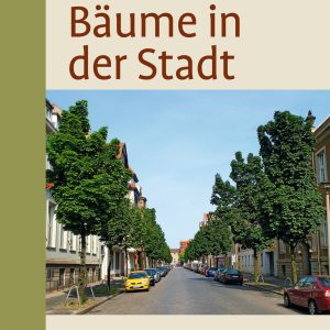 Bäume in der Stadt