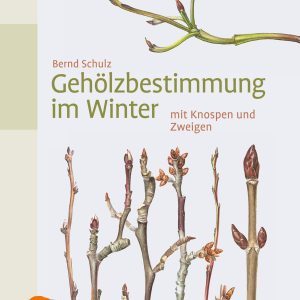 Gehölzbestimmung im Winter – mit Knospen und Zweigen Gehölzbestimmung im Winter – mit Knospen und Zweigen
