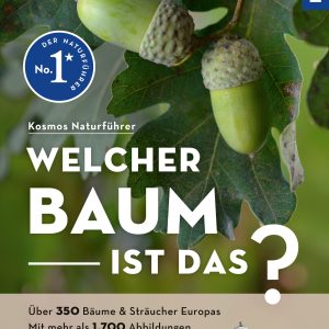 Welcher Baum ist das?