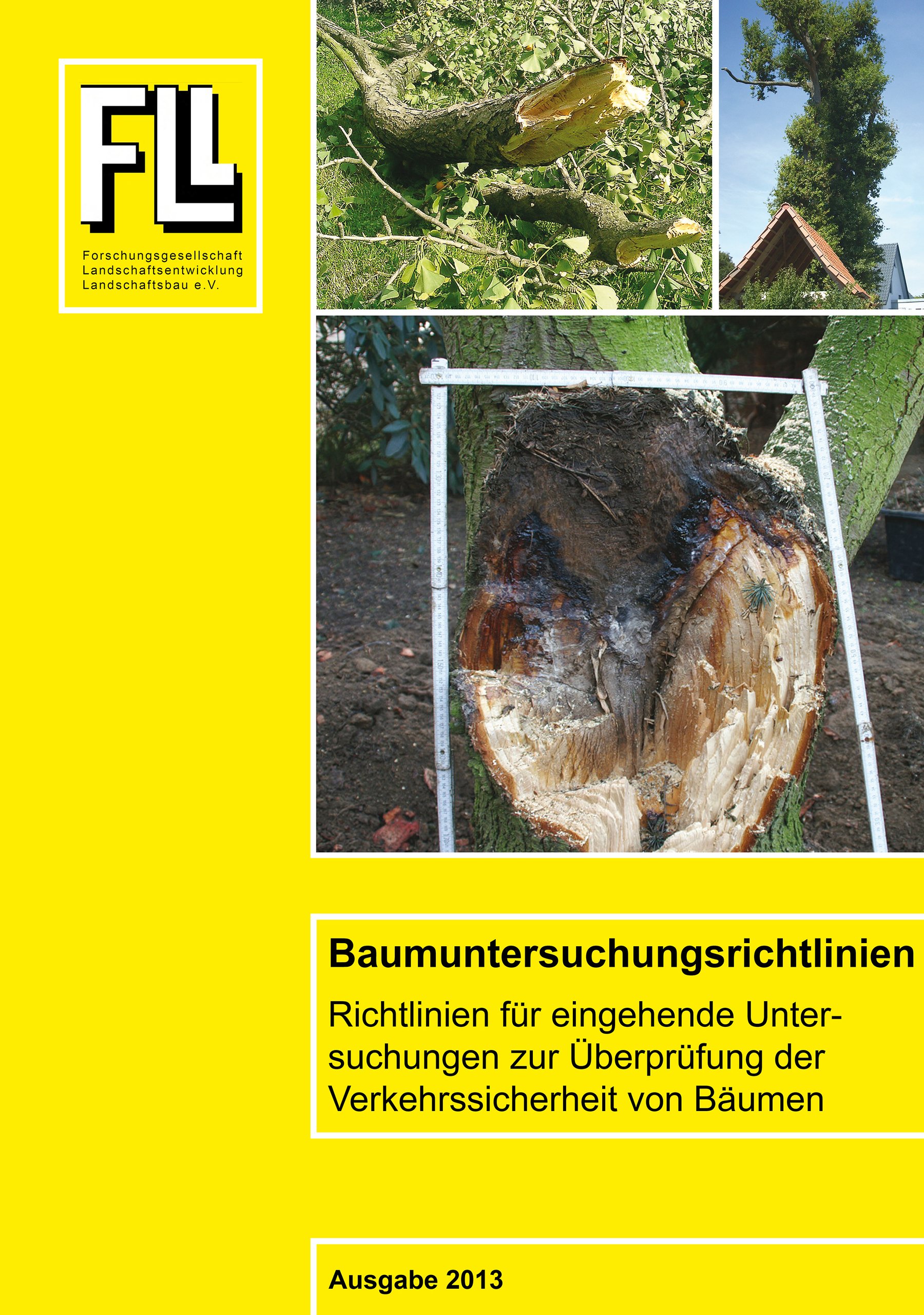 Broschüre Baumuntersuchungsrichtlinien 2013