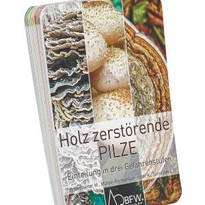 Baumpilzfächer – Holz zerstörende Baumpilze