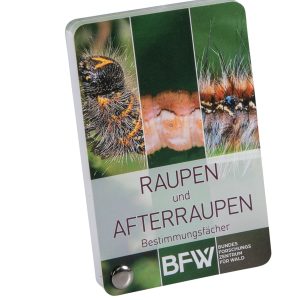 Bestimmungsfächer – Raupen und Afterraupen