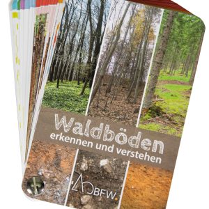 Bestimmungsfächer – Waldböden erkennen und verstehen