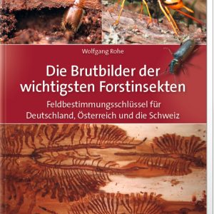 Die Brutbilder der wichtigsten Forstinsekten Die Brutbilder der wichtigsten Forstinsekten