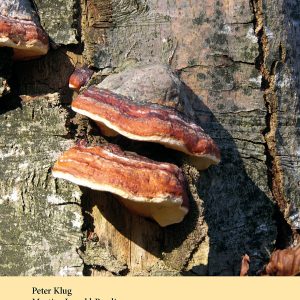 Holzzersetzende Pilze Holzzersetzende Pilze