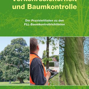 Verkehrssicherheit und Baumkontrolle