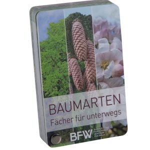 Baumarten – Fächer für unterwegs