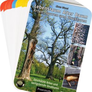 Lebensraum Alter Baum – Arten, Spuren und Strukturen Lebensraum Alter Baum – Arten, Spuren und Strukturen