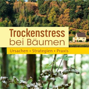 Trockenstress bei Bäumen – Ursachen, Strategien, Praxis