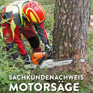 Sachkundenachweis Motorsäge