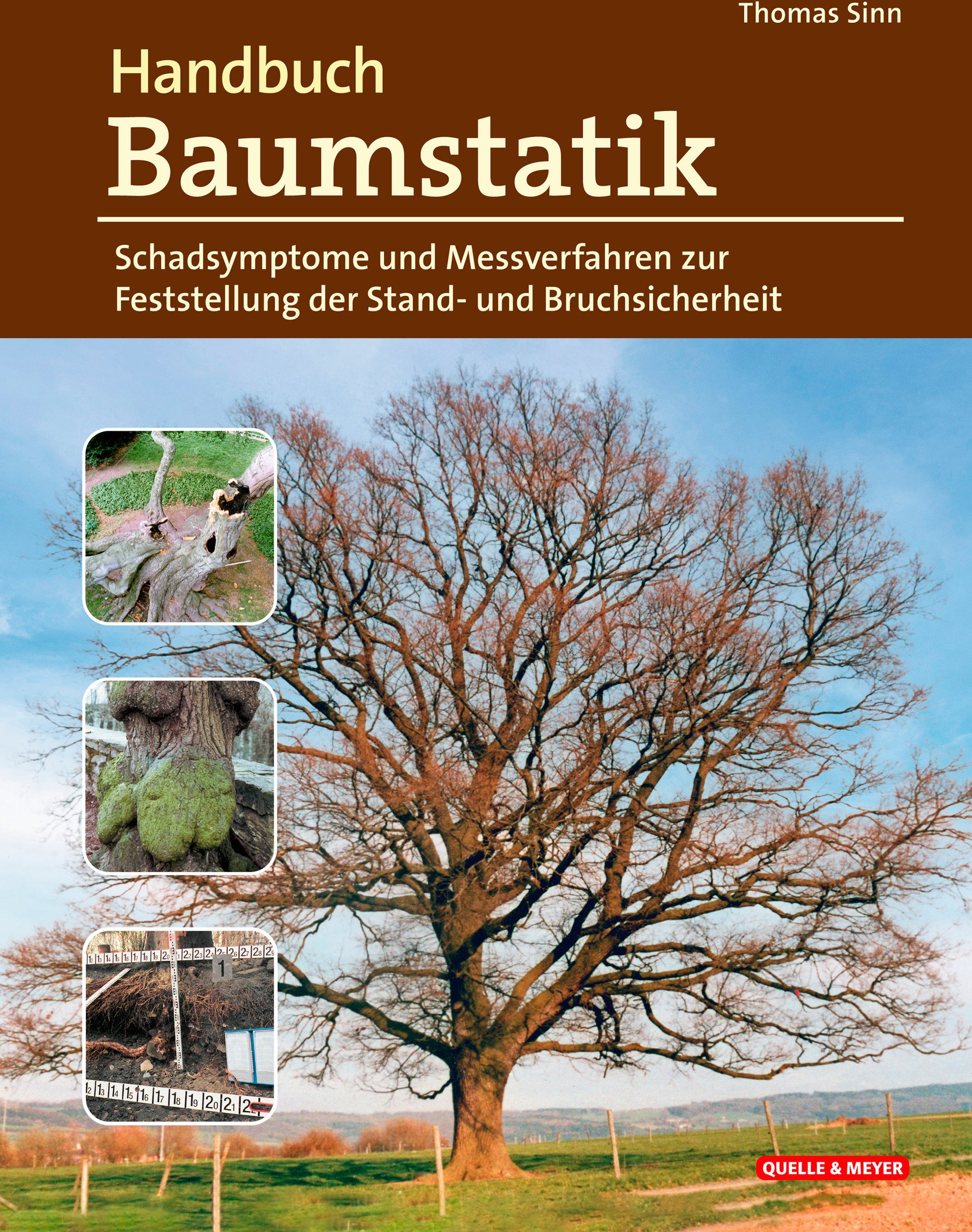 Handbuch Baumstatik – Schadsymptome und Messverfahren zur Feststellung der Stand- und Bruchsicherheit
