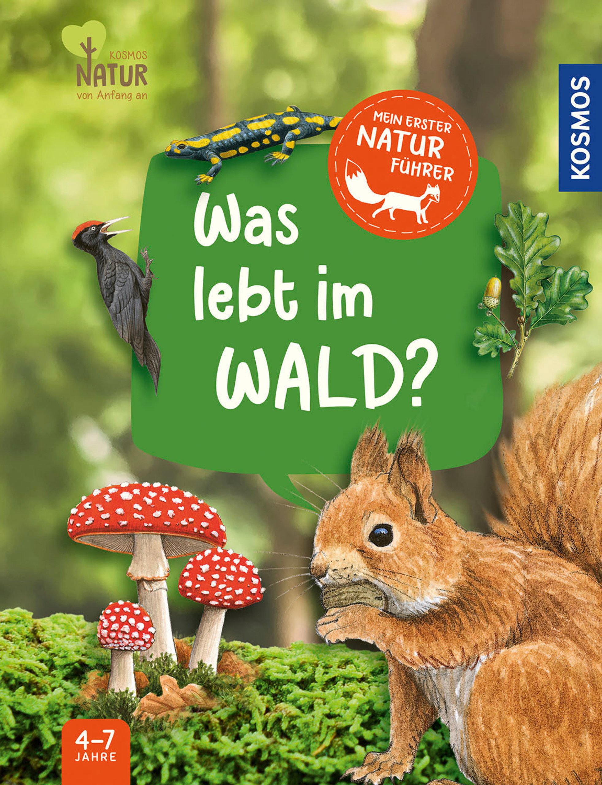 Mein erster Naturführer – Was lebt im Wald?