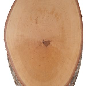 Hirschschild Birke