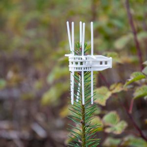 Signumat Verbissschutzmanschette Cactus Bio