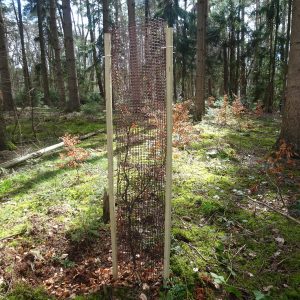 PlantaGard Baumschutz-Gitterhülle Freiwuchs-Bio 200 PlantaGard Baumschutz-Gitterhülle Freiwuchs-Bio 200