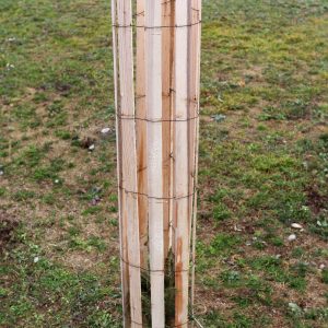 Witasek Bio-Wuchshülle Witapro Freiwuchs 300 Tube