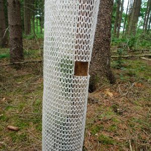 Buck Bio-Wuchshülle Buckshülle