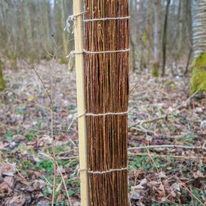 Bio-Wuchshülle Weidenhülle