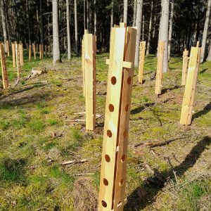 Stabilisierungsholz für Holz-Wuchshülle Dendron