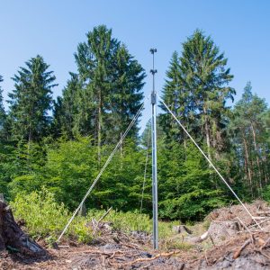 Schlitzfallenständer, sternförmig Schlitzfallenständer, sternförmig