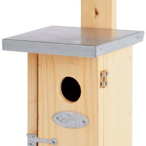 Nistkasten Zaunkönig