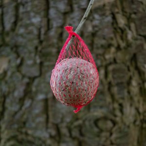 Tedje Meisenknödel Frucht und Insekt