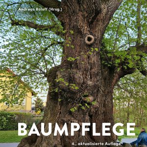Baumpflege