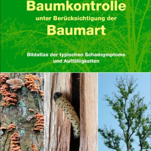 Baumkontrolle unter Berücksichtigung der Baumart