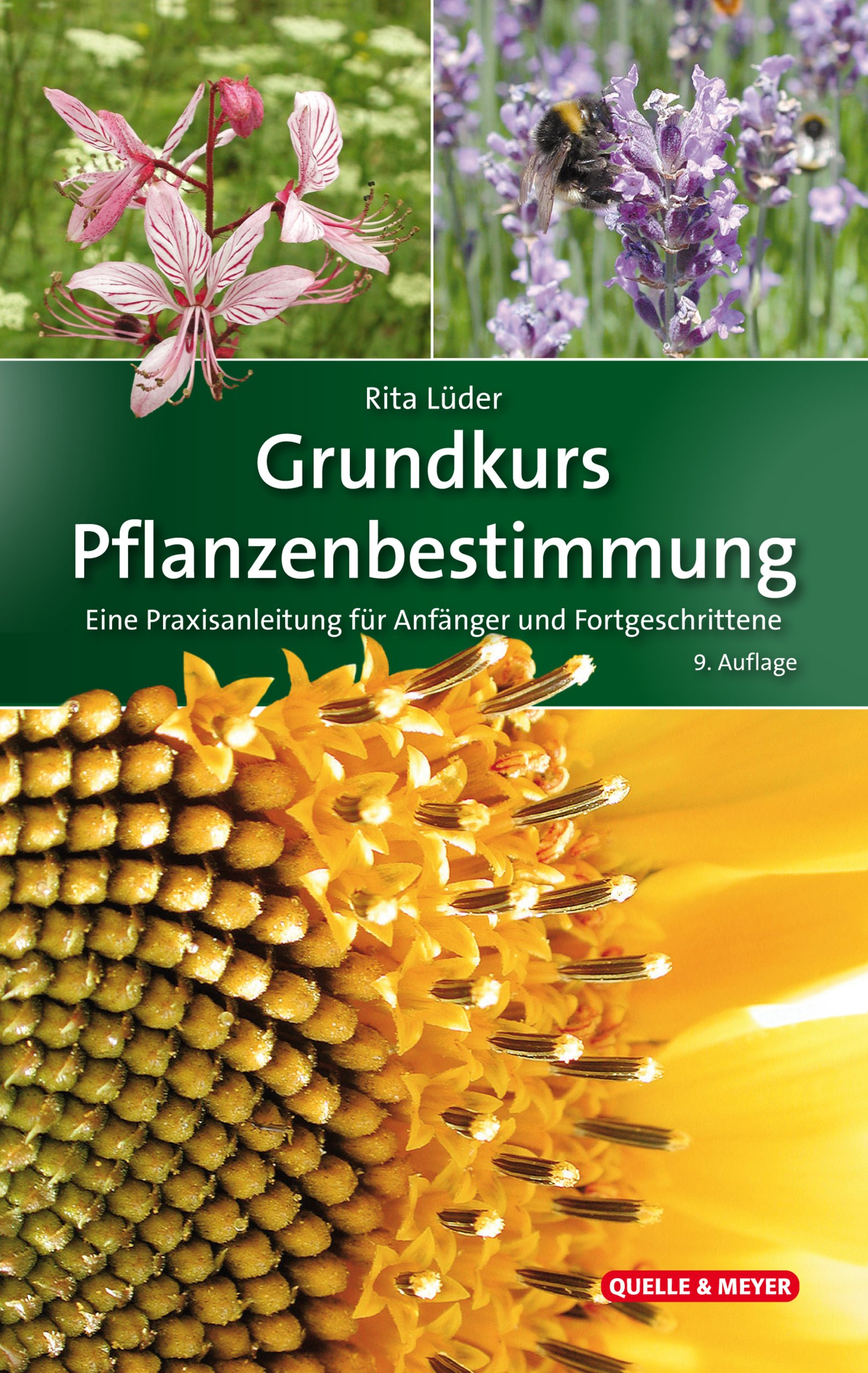 Grundkurs Pflanzenbestimmung – Eine Praxisanleitung für Anfänger und Fortgeschrittene