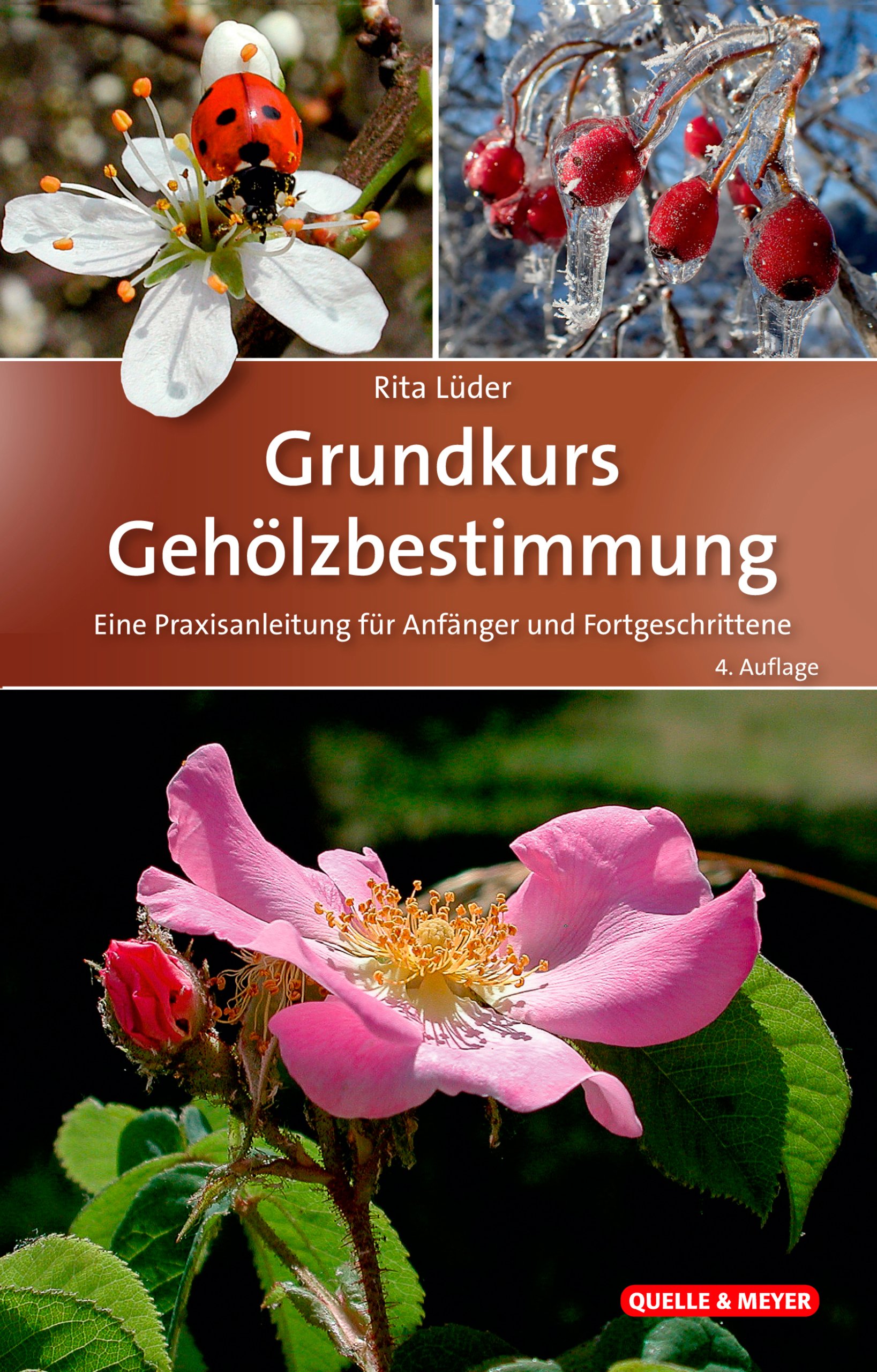 Grundkurs Gehölzbestimmung – Eine Praxisanleitung für Anfänger und Fortgeschrittene