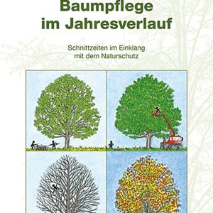 Baumpflege im Jahresverlauf – Schnittzeiten im Einklang mit dem Naturschutz