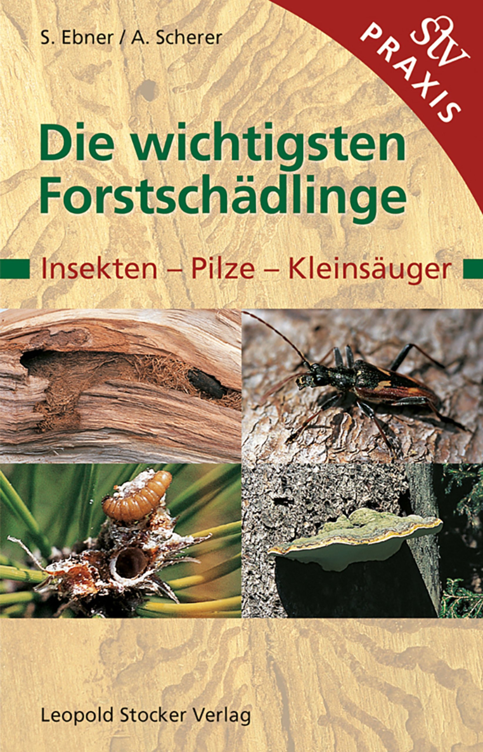 Die wichtigsten Forstschädlinge – Insekten, Pilze, Kleinsäuger