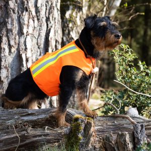 Aduro Hundewarnweste