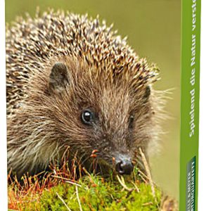 Naturquartett Tiere im Garten Naturquartett Tiere im Garten