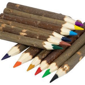 Ast-Buntstifte, 12er-Set