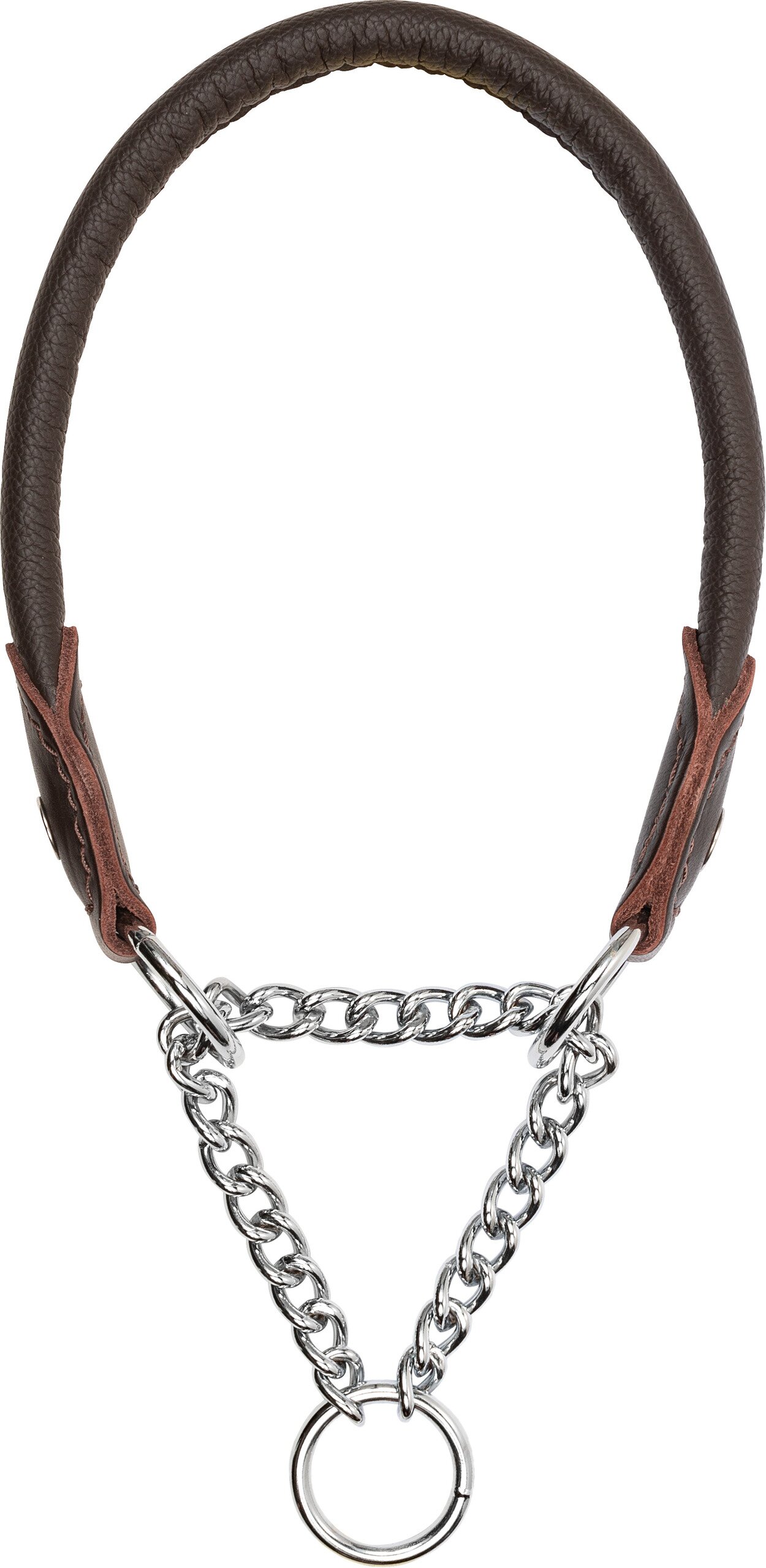 Blaser Hundehalsung Leder