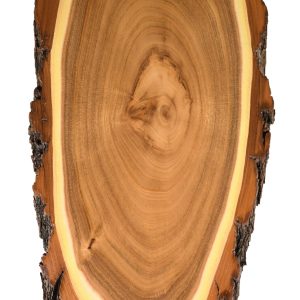 Hirschschild Akazie