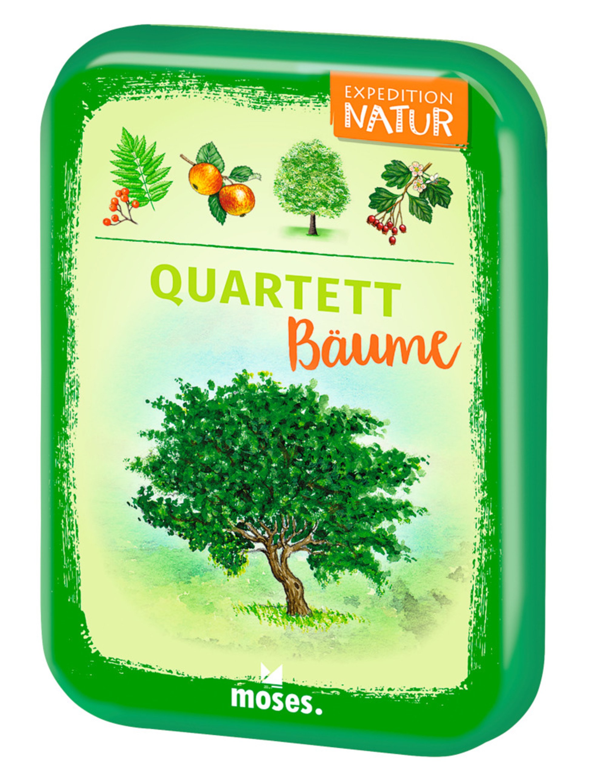 Moses Quartett Bäume