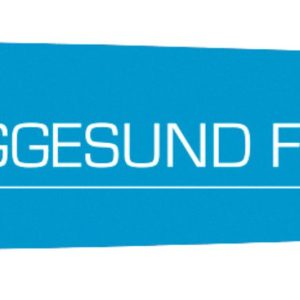Iggesund Blue Line Harvesterschiene 1,6 mm Iggesund Blue Line Harvesterschiene 1,6 mm