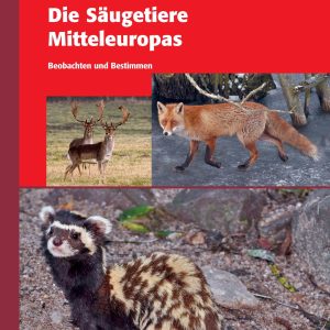 Die Säugetiere Mitteleuropas – Beobachten und Bestimmen Die Säugetiere Mitteleuropas – Beobachten und Bestimmen