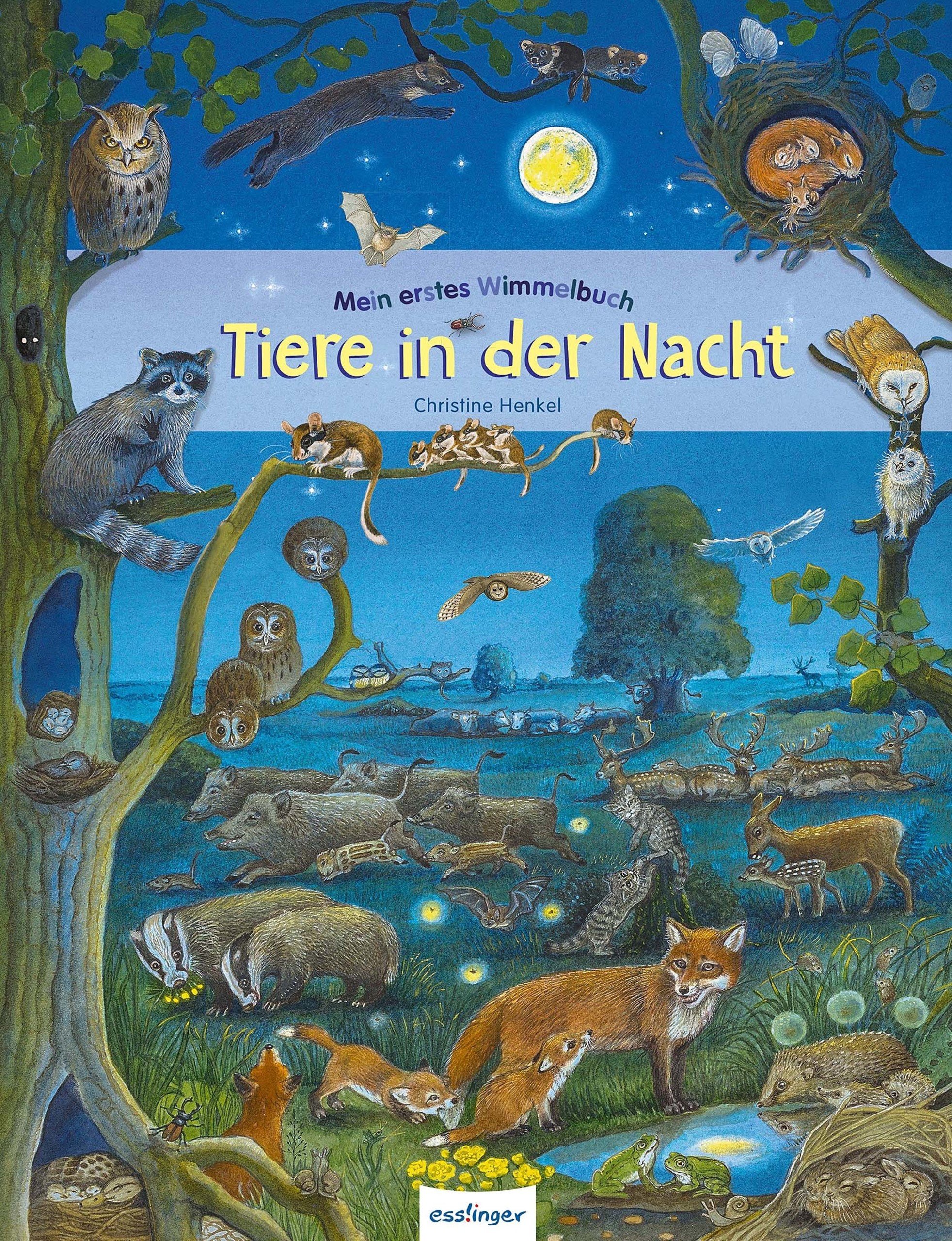 Mein erstes Wimmelbuch – Tiere in der Nacht