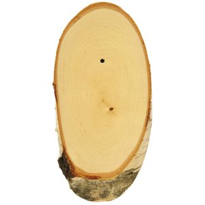 Gehörnbrettchen Rehbock, Birke Gehörnbrettchen Rehbock, Birke